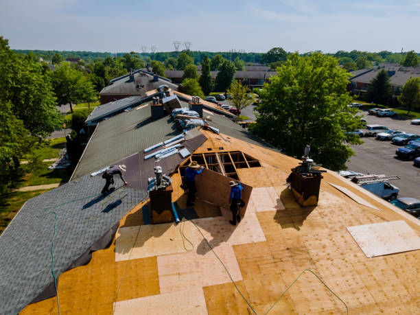 Roof Gutter Cleaning in Three Lakes, WA